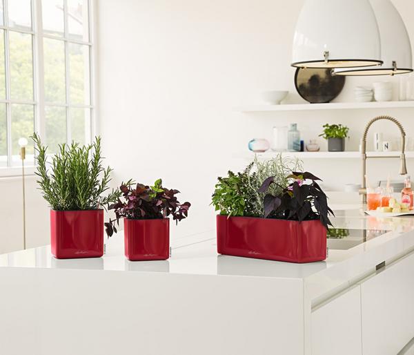 LECHUZA® CUBE Premium, All-in-One Set,
