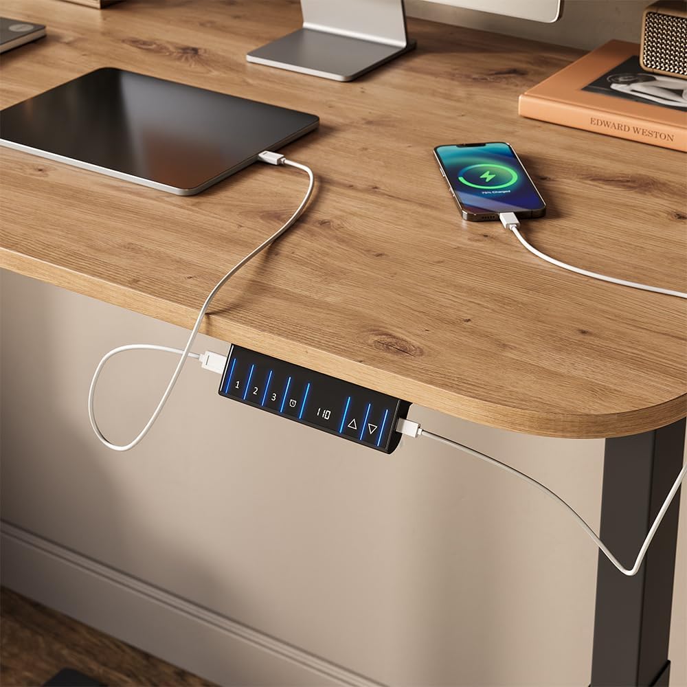 Vicco Schreibtischgestell höhenverstellbar Elevate, 2 Motoren, Anthrazit, elektrisches Tischgestell ohne Tischplatte mit Memory-Funktion & USB Anschluss