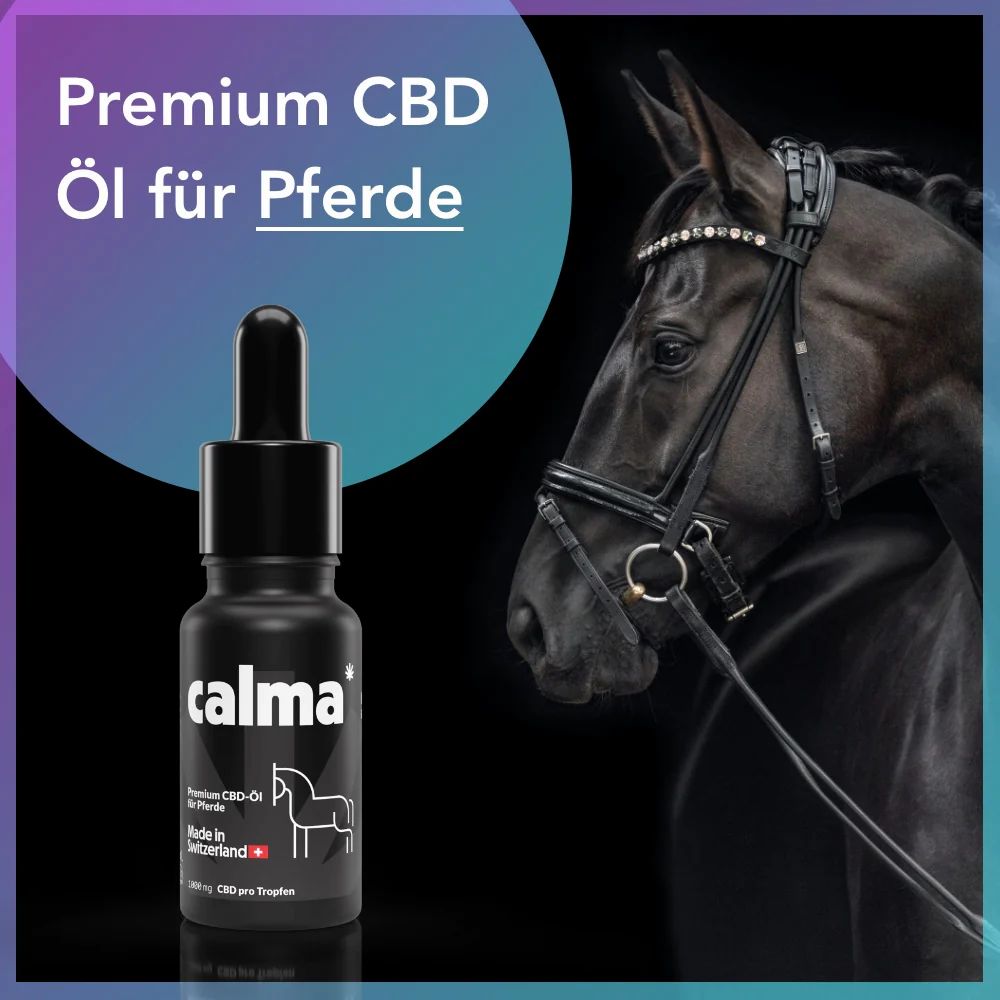 CALMA CBD Öl für Pferde