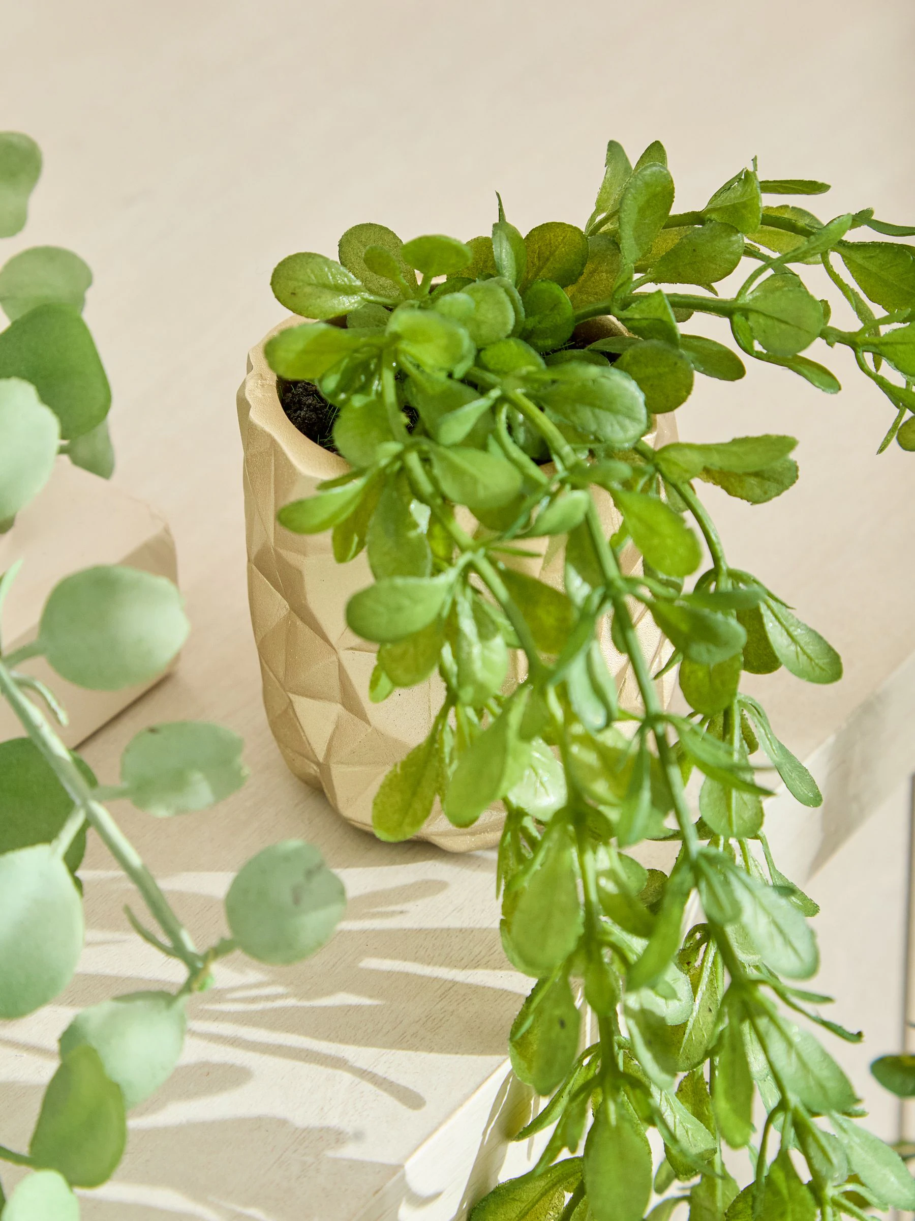 Artificial Trailing Plants In Mini Gold Hex Pots