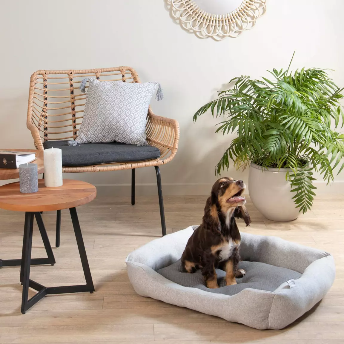 Panier ovale pour chat et chien Graphène L55 cm Gris
