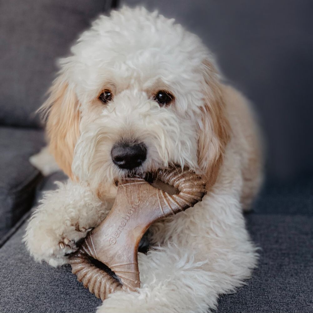 Benebone - Tyggelegetøj Til Hund - Bacon - Small - 14 CM