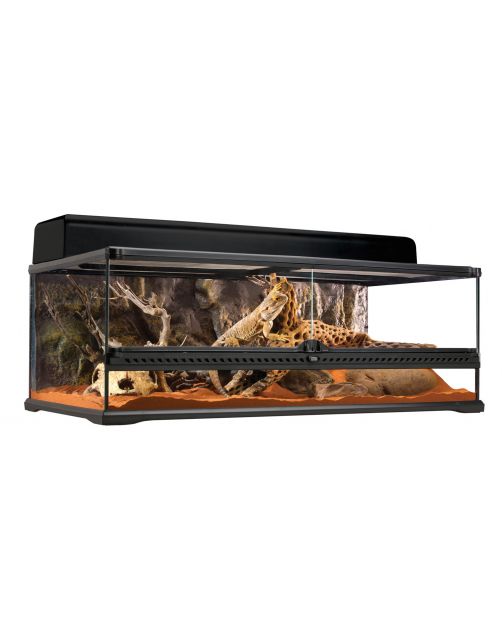 Exo Terra Glas Terrarium & Achterwand - Terraria