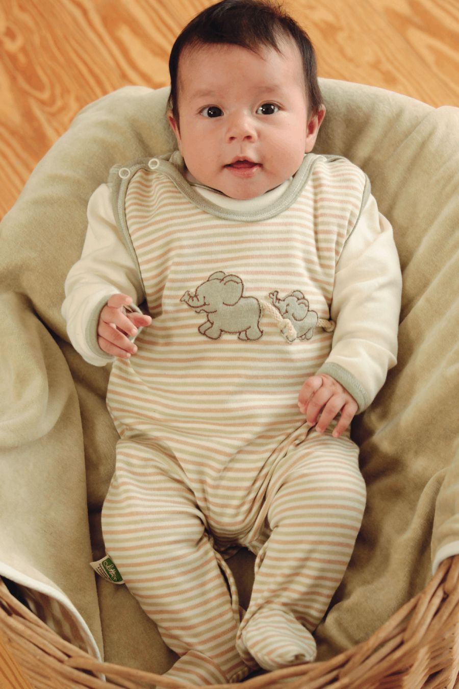 Lotties Strampler Kombination Elefant mit Body