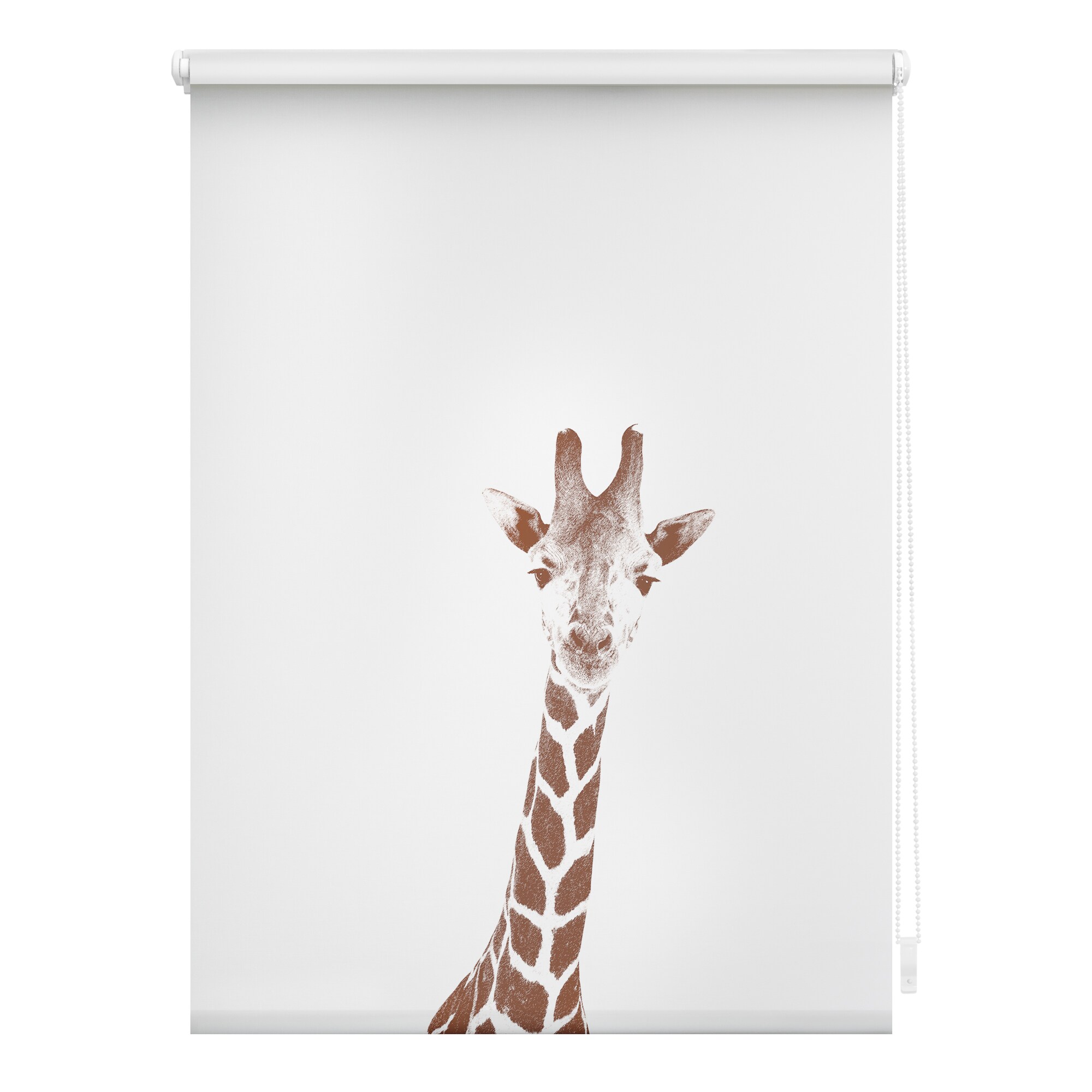 Lichtblick Rollo Klemmfix, ohne Bohren, blickdicht, Giraffe - Braun