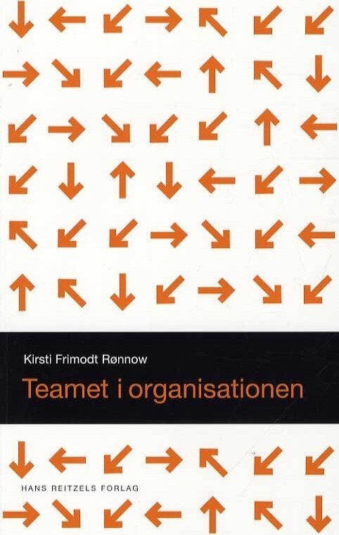 Temaet I Organisationen - Kirsti Rønnow - Bog