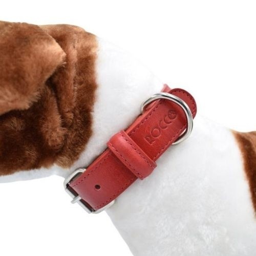 Coleira vermelha para cães Loyal Rocco