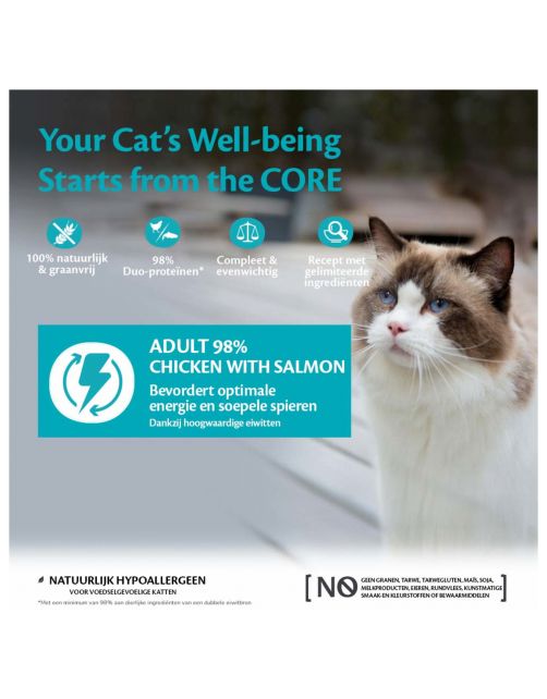 Wellness Core 98% Recipe 85 g - Kattenvoer