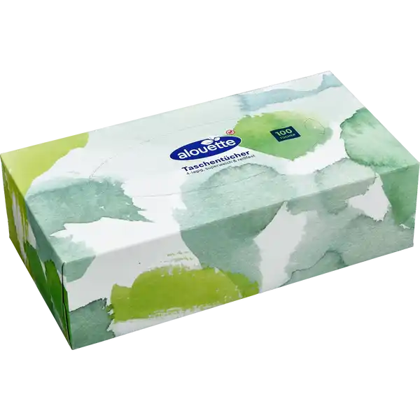 Taschentücherbox