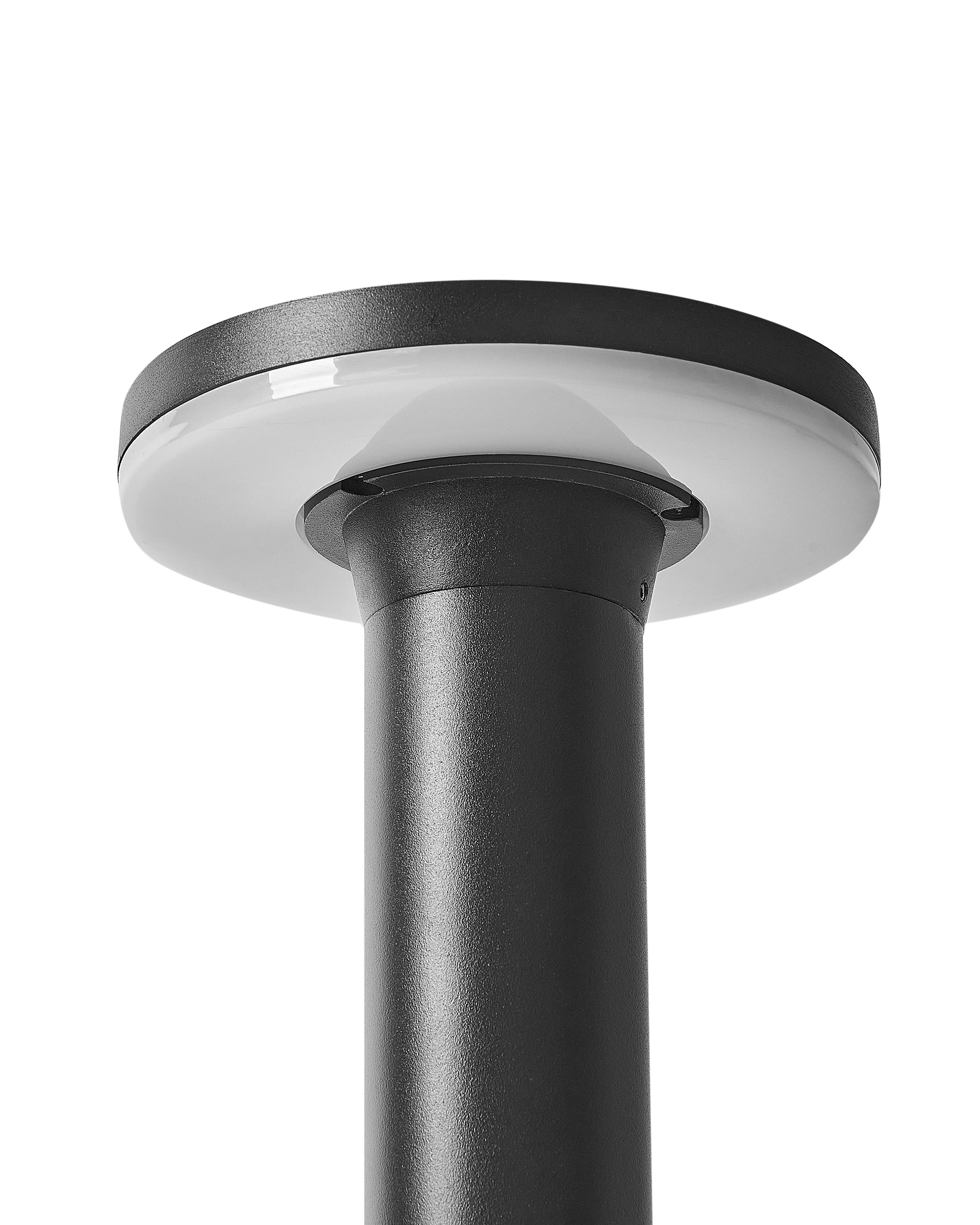 LED paallamp op zonnenergie voor buiten TARKIO Zwart