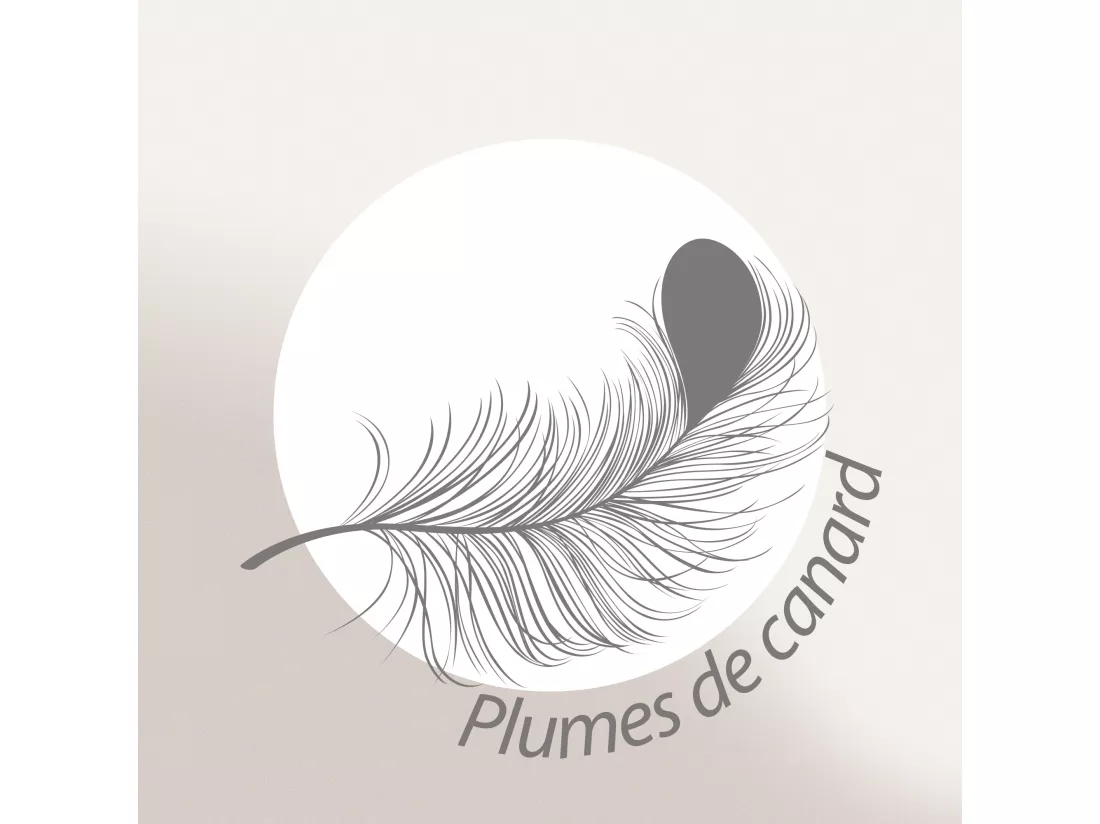 Traversin 90 cm GRIZZ'LIT PLUMES 100% Plumes de Canard