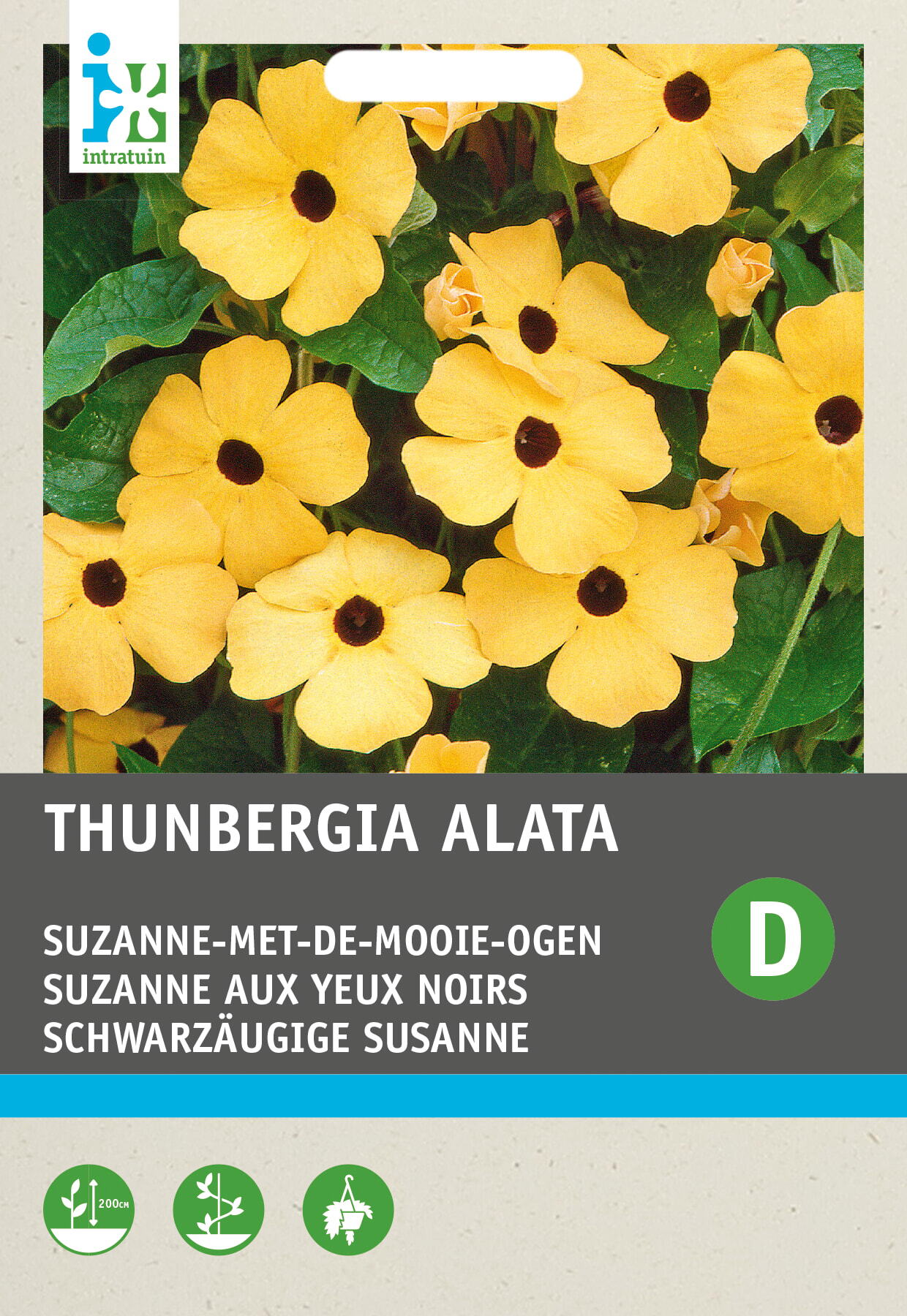 Intratuin bloemenzaad Suzanne-met-de-mooie-ogen (Thunbergia alata)