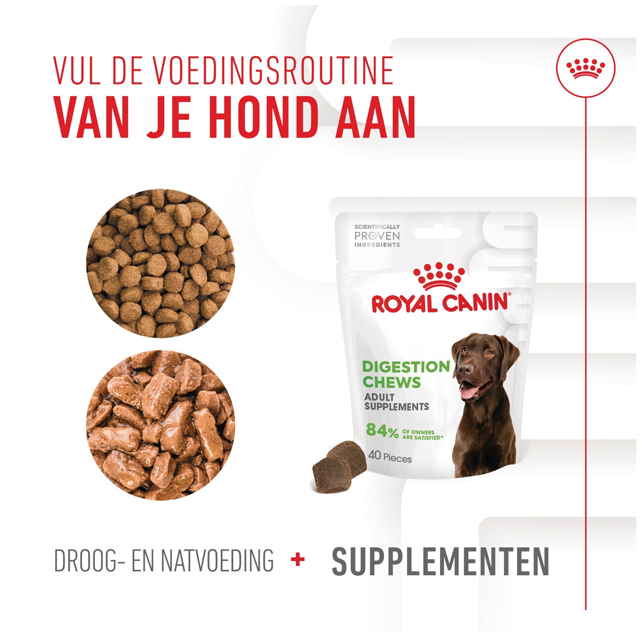 ROYAL CANIN Digestion Adult Supplements Kausnacks 160 g
