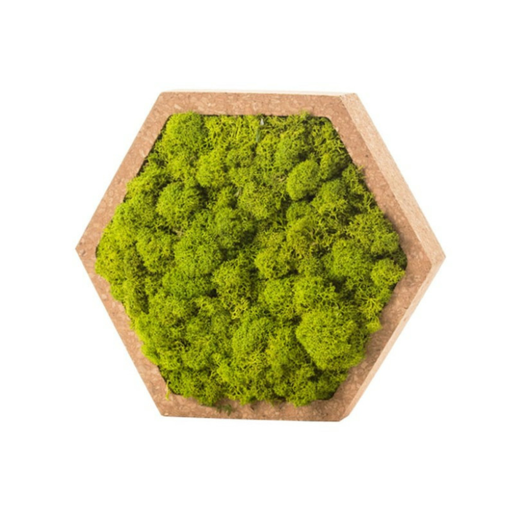 Stab lichen hexagonal vert 16 x 16 cm