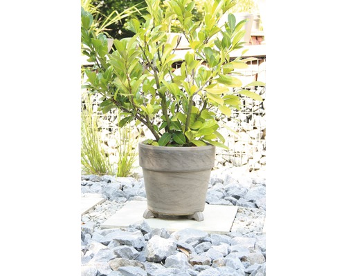 Terracotta voeten, clip umbra, 3 stuks