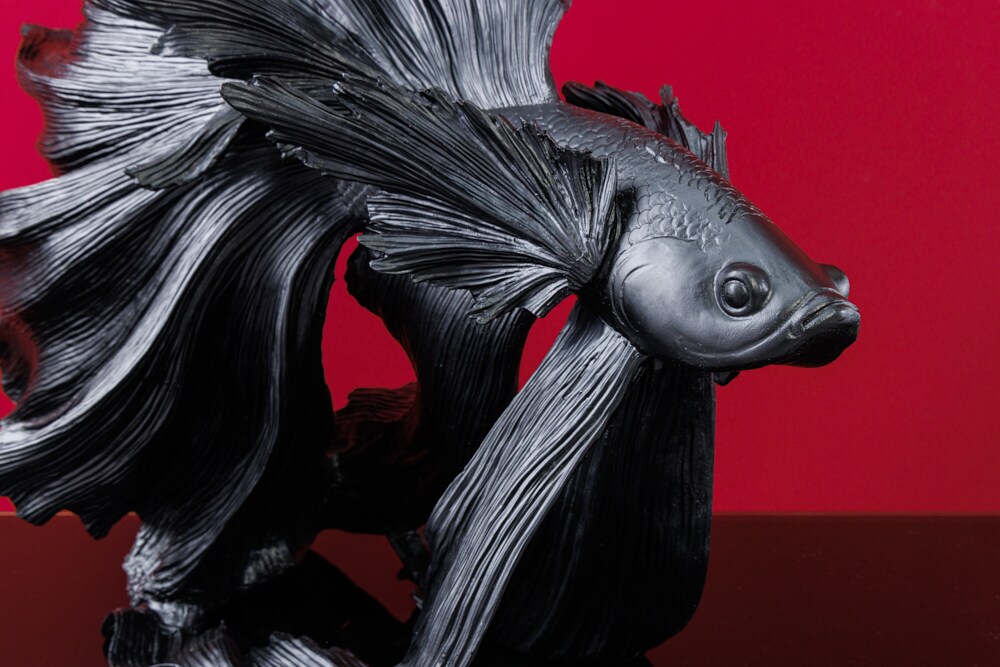 riess-ambiente Skulptur CROWNTAIL - 65cm schwarz Betta Fisch