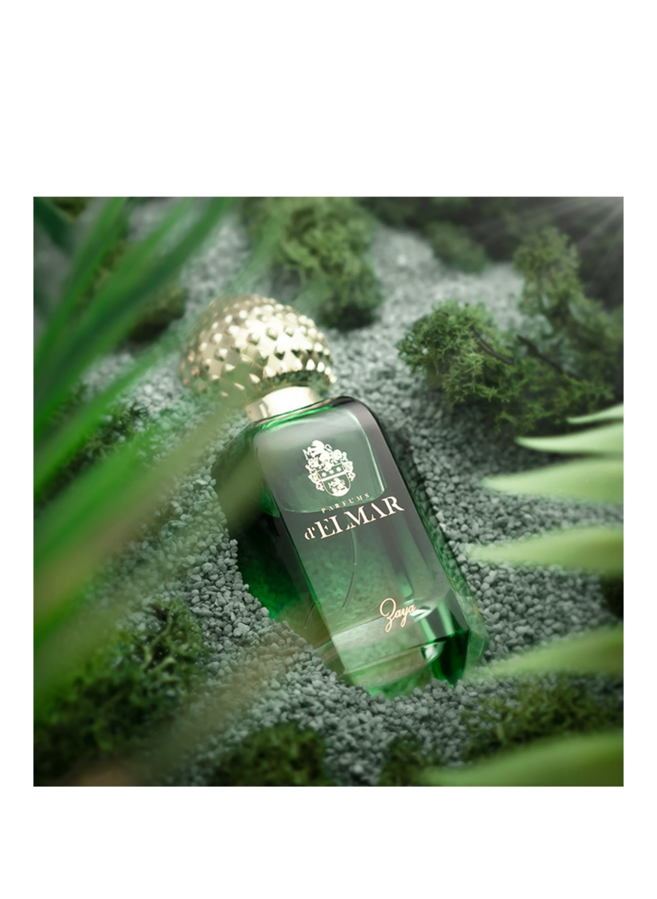PARFUMS D'ELMAR ZAYA