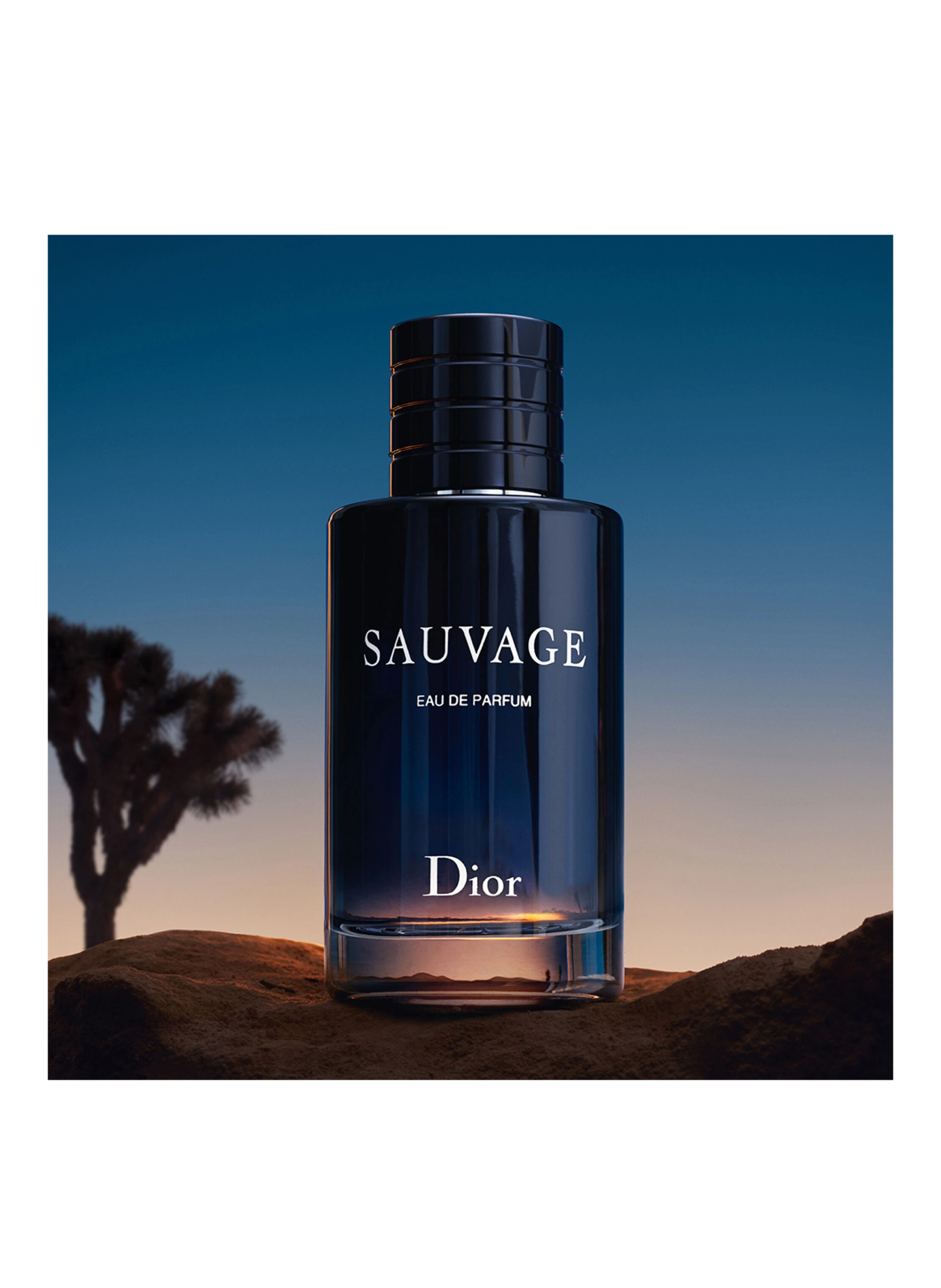 DIOR SAUVAGE
