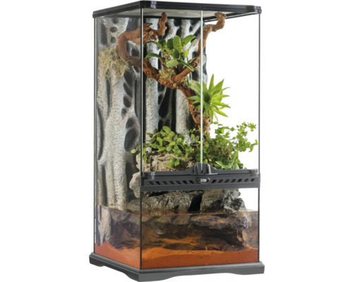 Terrarium, Paludarium Exo Terra small X-tall, 30 x 30 x 60 cm, glas, kunststof