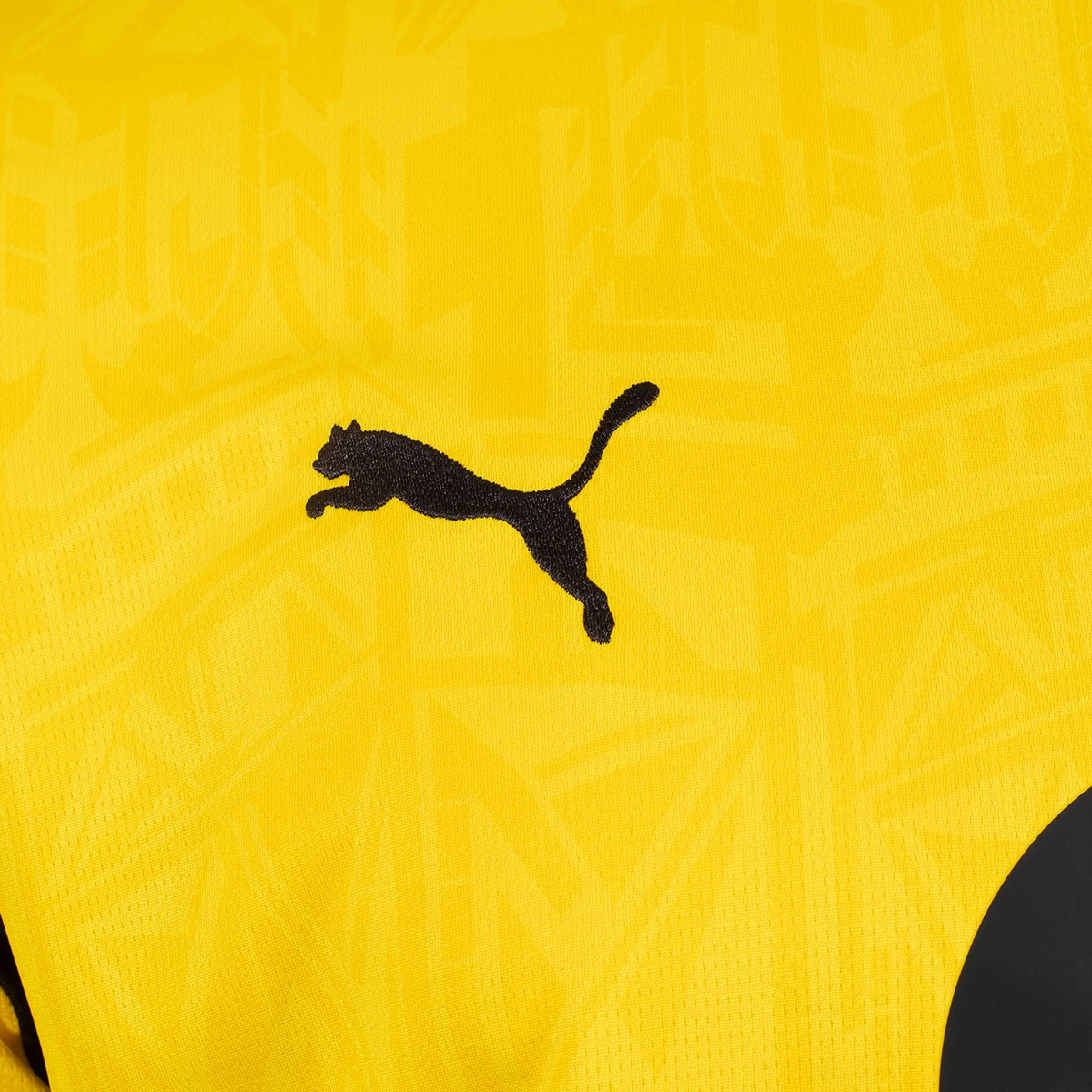 Camisola Puma Bvb Borussia Primeiro equipamento 2026-2027 Criança