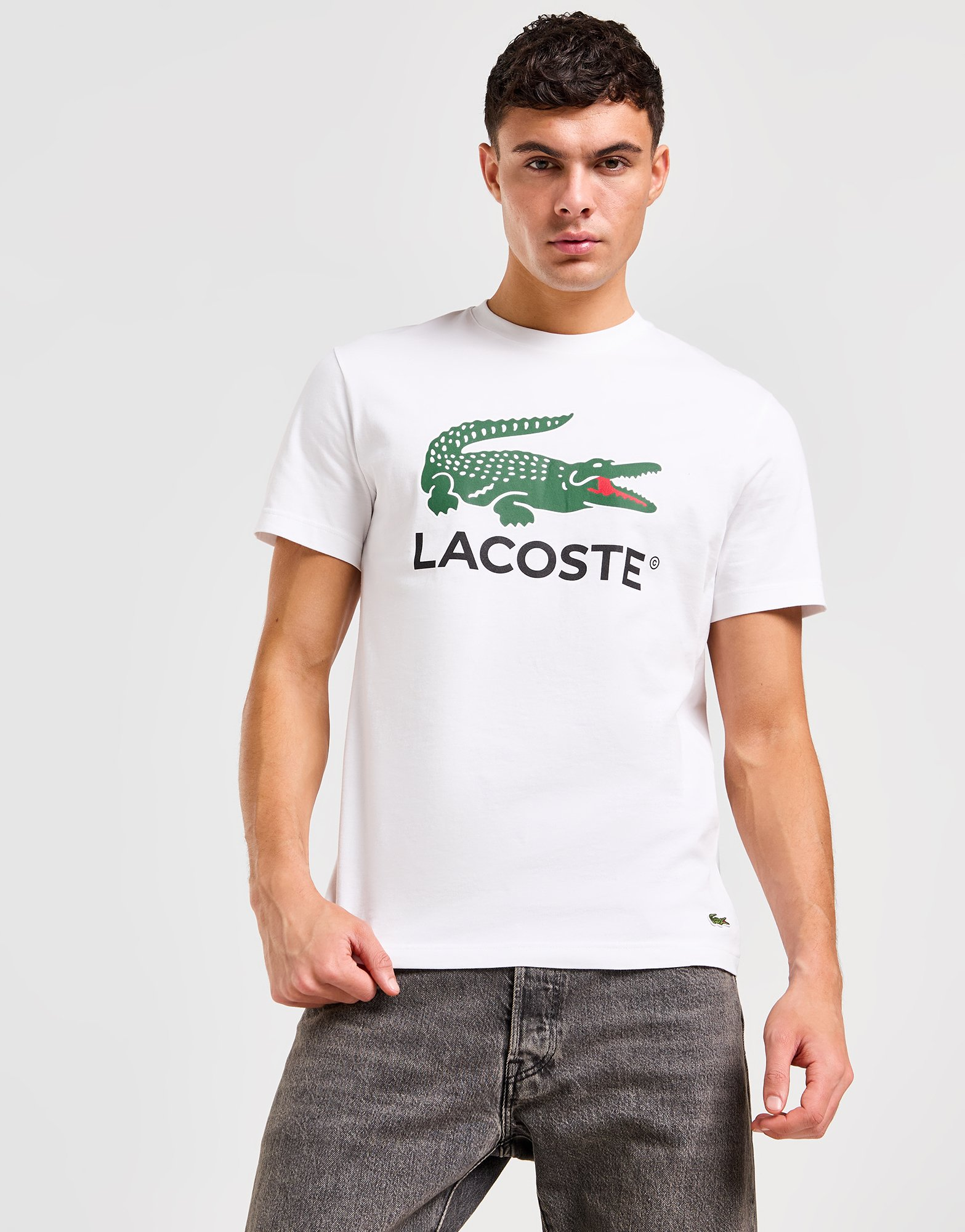 Lacoste T-shirt Homme