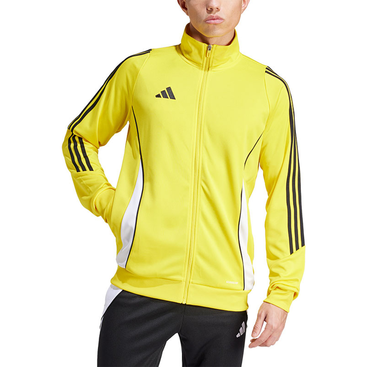 adidas Tiro 24 TK Jacket Trainingspak