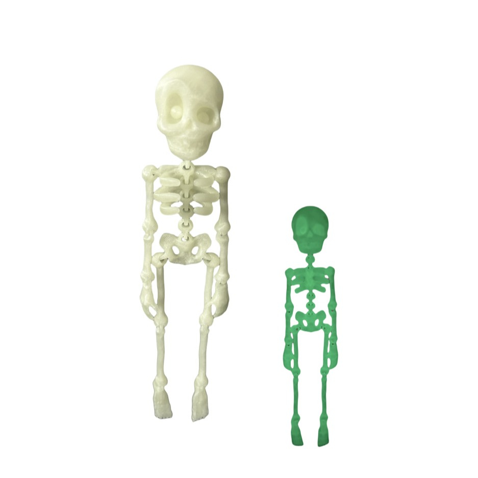 (19x6cm) Fluoreszierendes Halloween Skelett Magnet Grusel Deko Glow in the Dark Party Accessoire für Whiteboard   Kühlschrank - Weiss / Grün