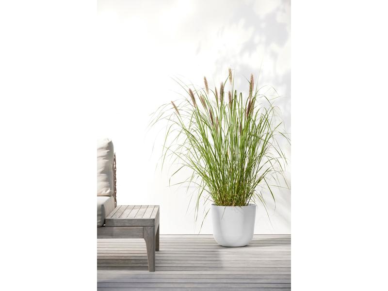 Ecopots Pflanzentopf Oslo 25, Weiss Robuster und langlebiger Blumentopf