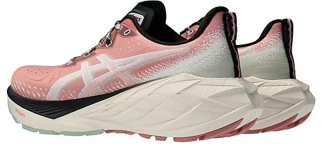 ASICS - CHAUSSURES DE RUNNING NOVABLAST TR W