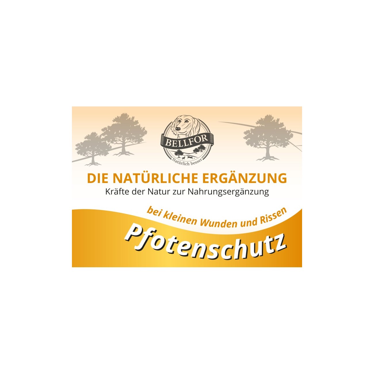 Bellfor Pfotenschutz Salbe für Hunde - 100 ml