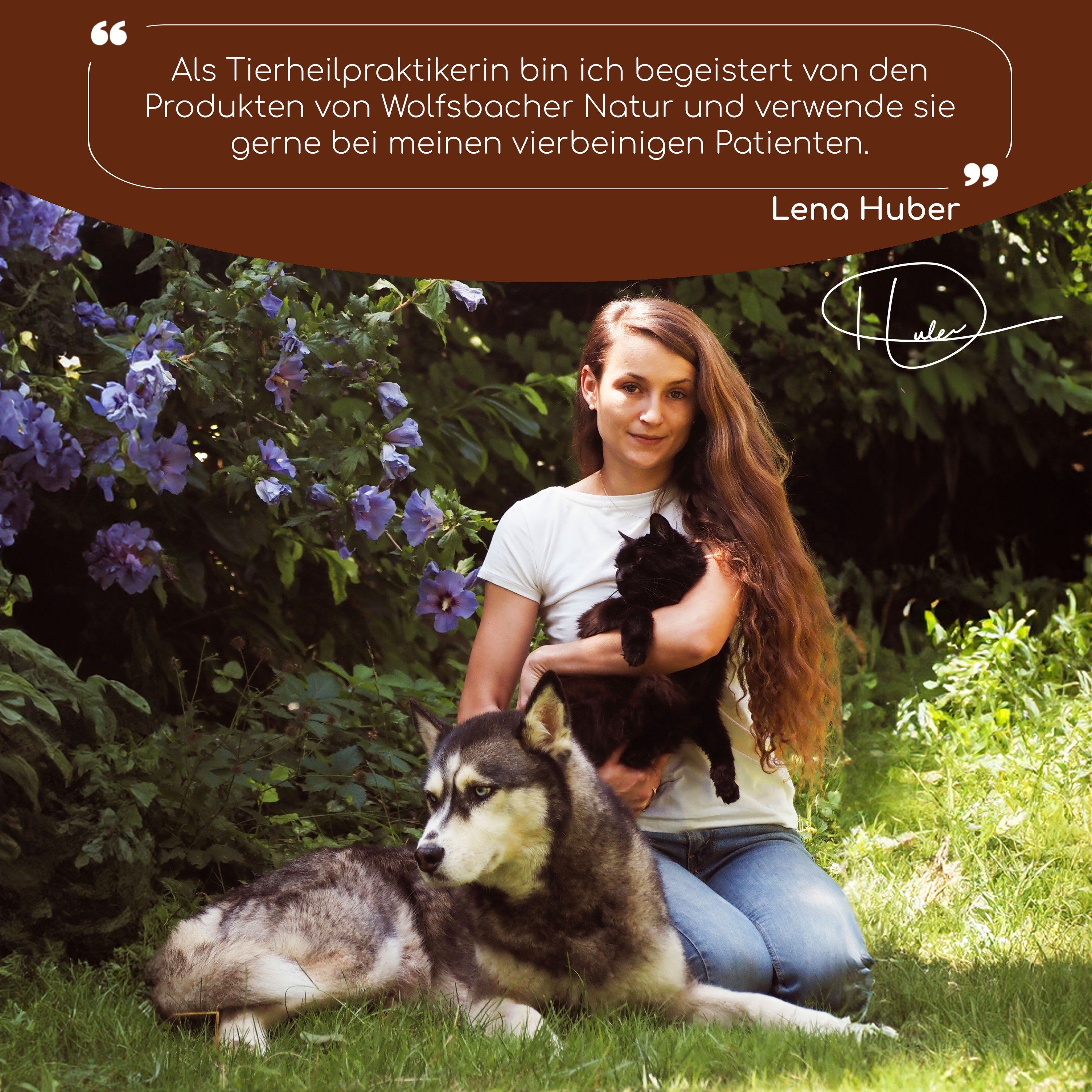 Wolfsbacher Natur Ulmenrinde Pulver