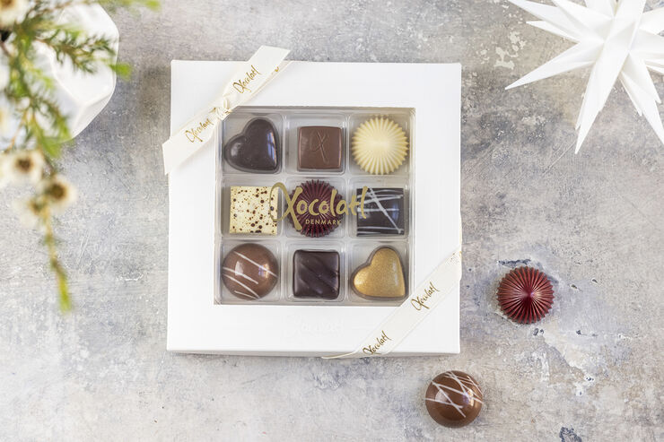 Xocolatl CHRISTIANSFELDER STAR 9