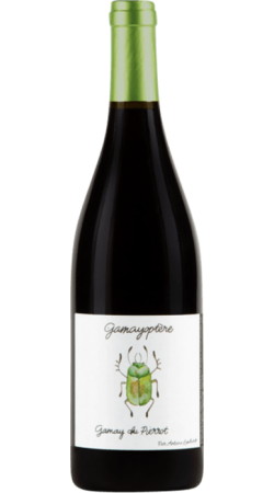 Domaine Antoine Lienhardt Côteaux Bourguignons Gamayoptère 2021