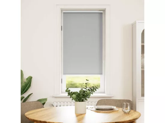 Store enrouleur occultant gris 60 x 120 cm