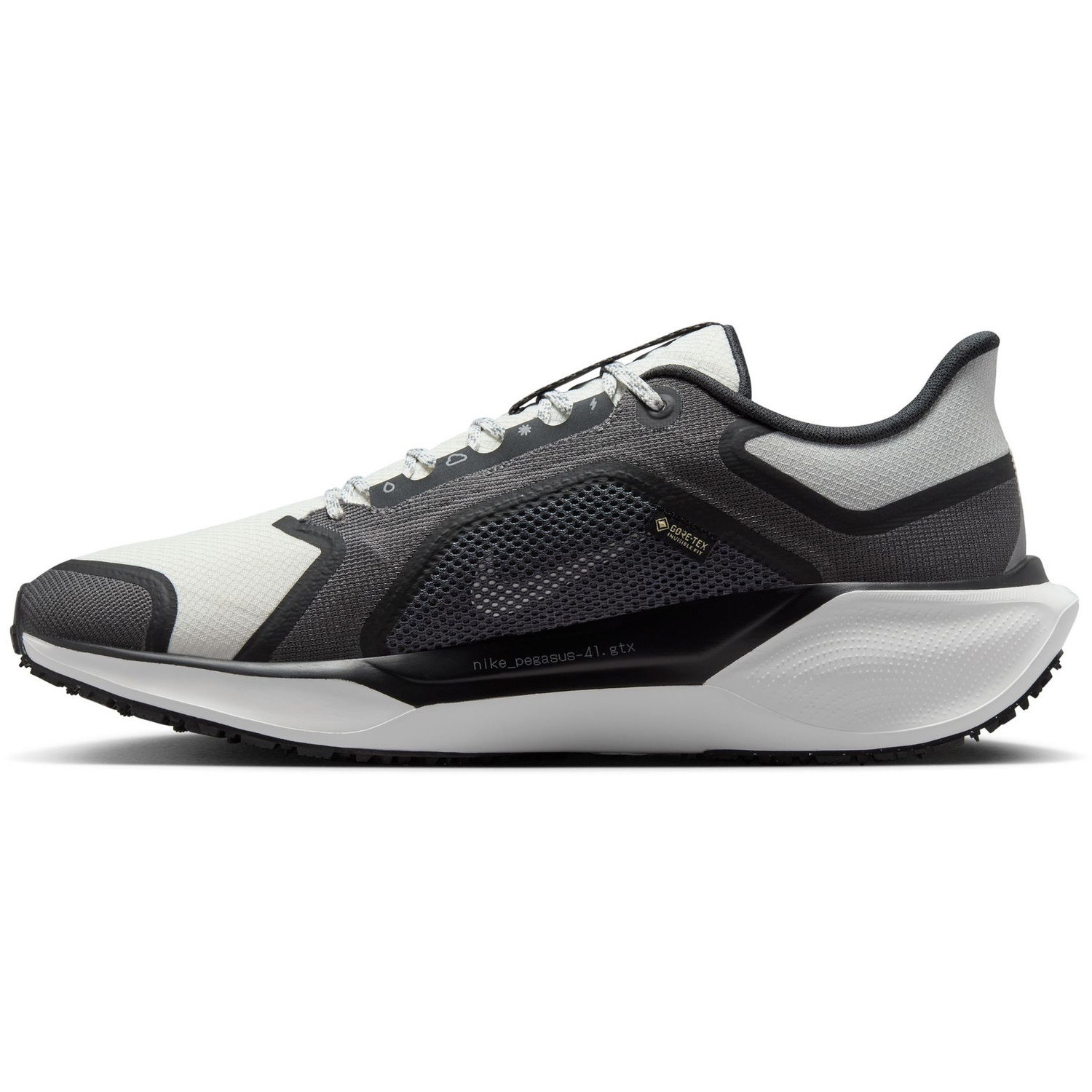 Nike Pegasus 41 GTX Heren