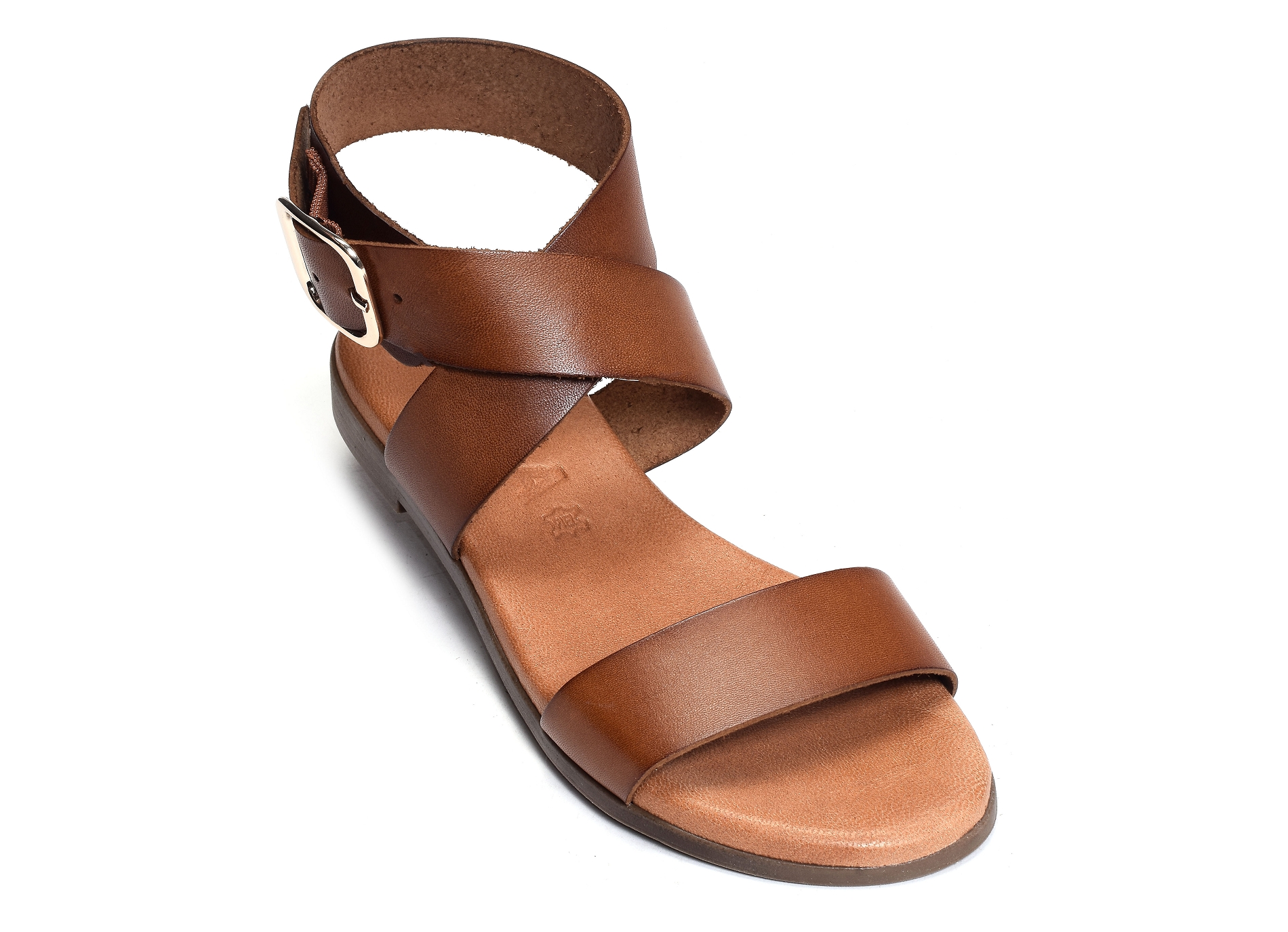 1359 camel