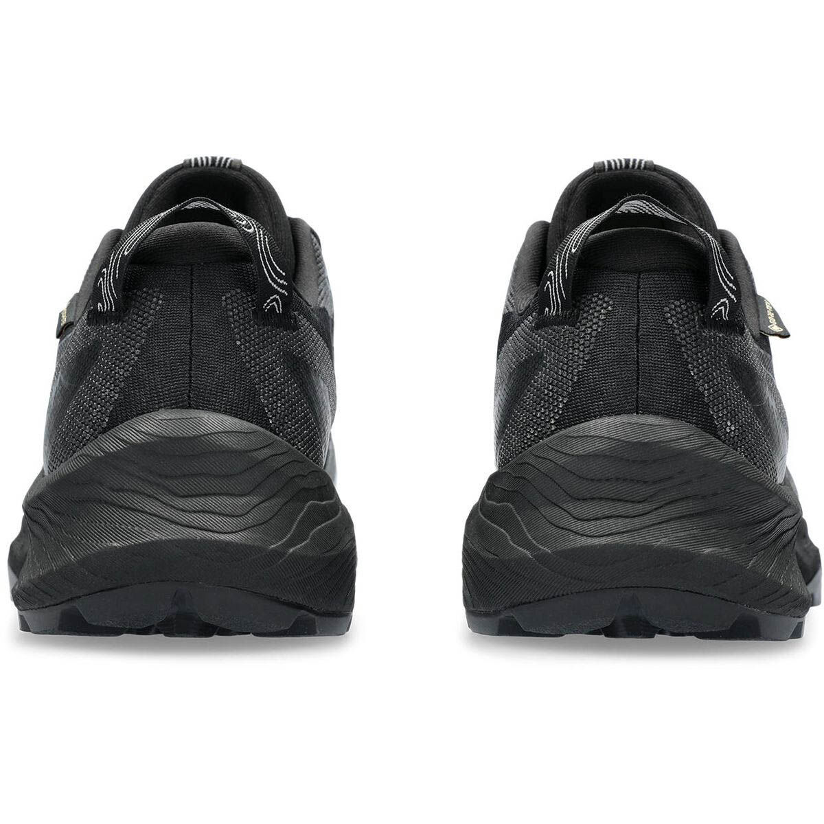ASICSGEL-TRABUCO 12 GTX Lady
