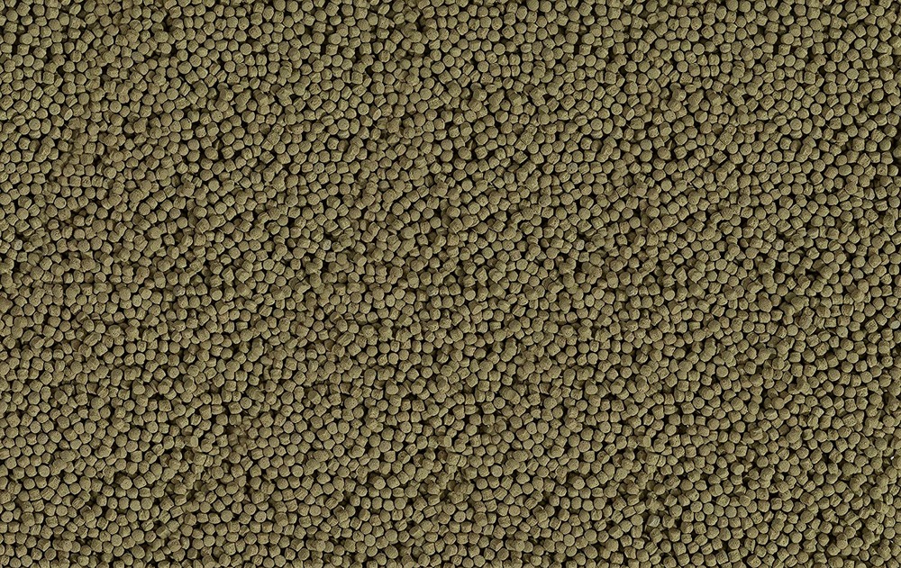 Tetra koi beauty medium 10l (5mm)
