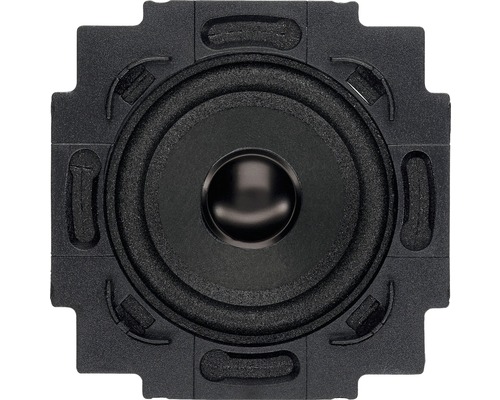 Busch-Jaeger 8223 U luidsprekerinzetstuk, zwart