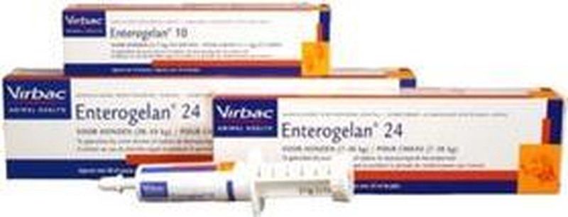 Enterogelan - Aanvullend Diervoeder - Pasta - 10 ml