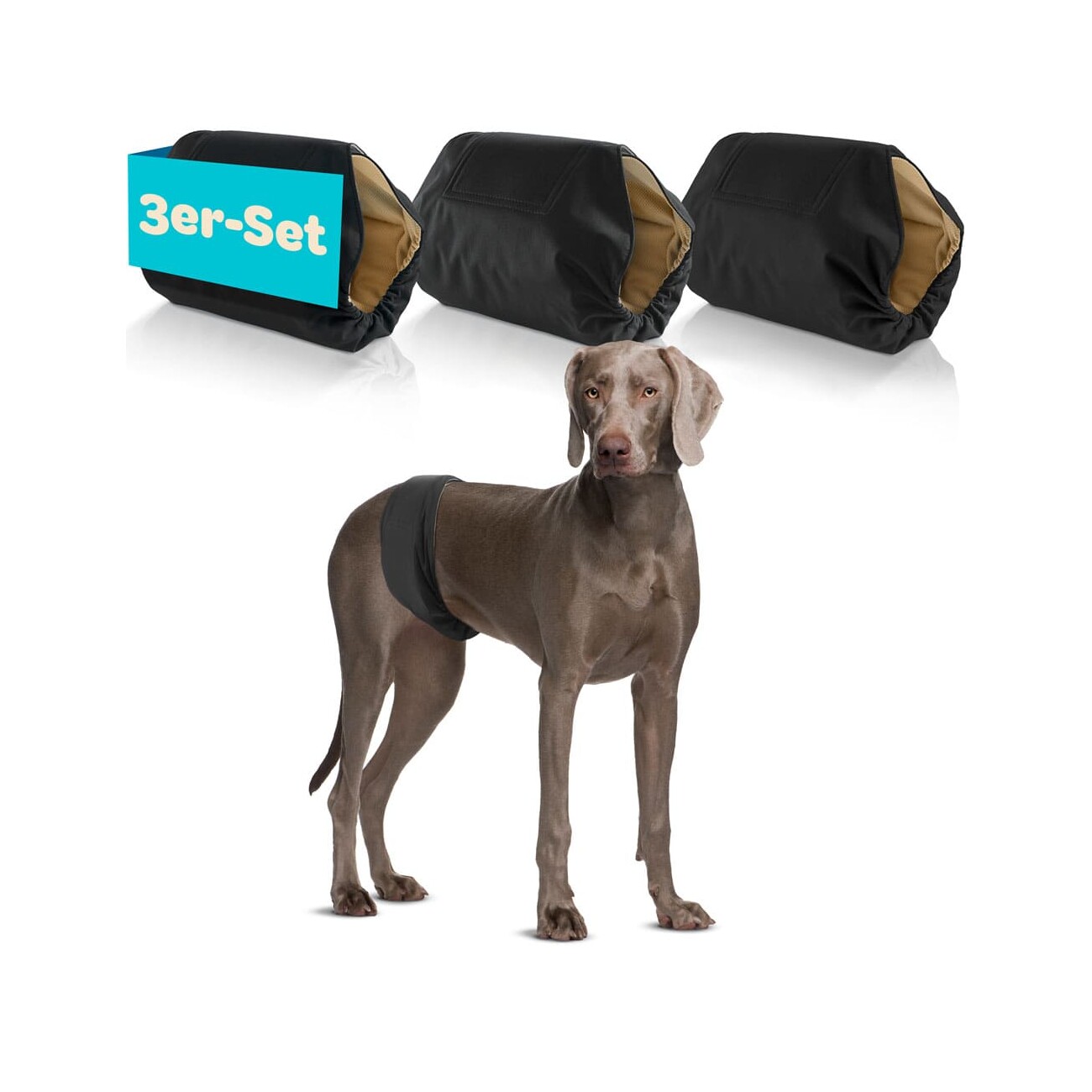 HUND IST KÖNIG Hundewindeln für Rüden [3 STK] Saugstarke Hundewindeln Rüde | Bequeme Hunde Windeln bei Inkontinenz XL