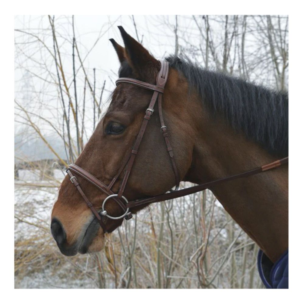 Eric Thomas HYBRID CONFORT - Bridon havane