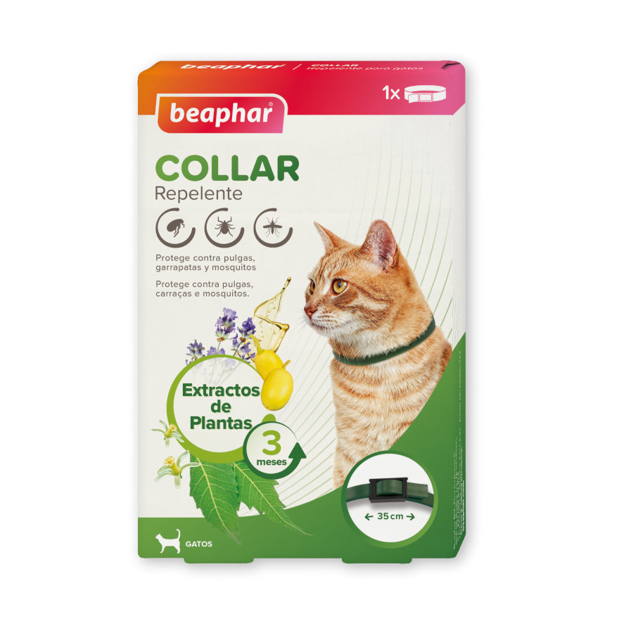 Coleira repelente para gatos Beaphar Bioband