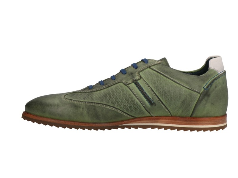 Will Lester 36305 Groen