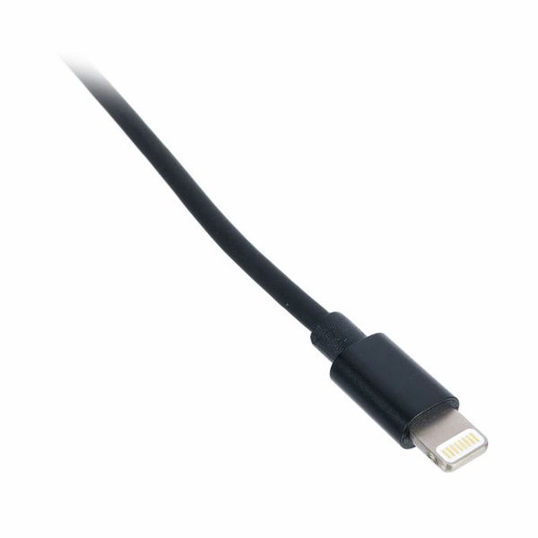 Ansmann Lightning/Charging Cable 200