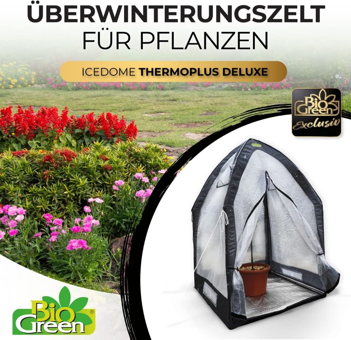 Bio Green Überwinterungszelt ICEDOME THERMOPLUS Deluxe | 3-lagige Luftpolsterfolie | Reflektorboden | Stabiler Metallrahmen | B 120 x T 120 x H 183 cm