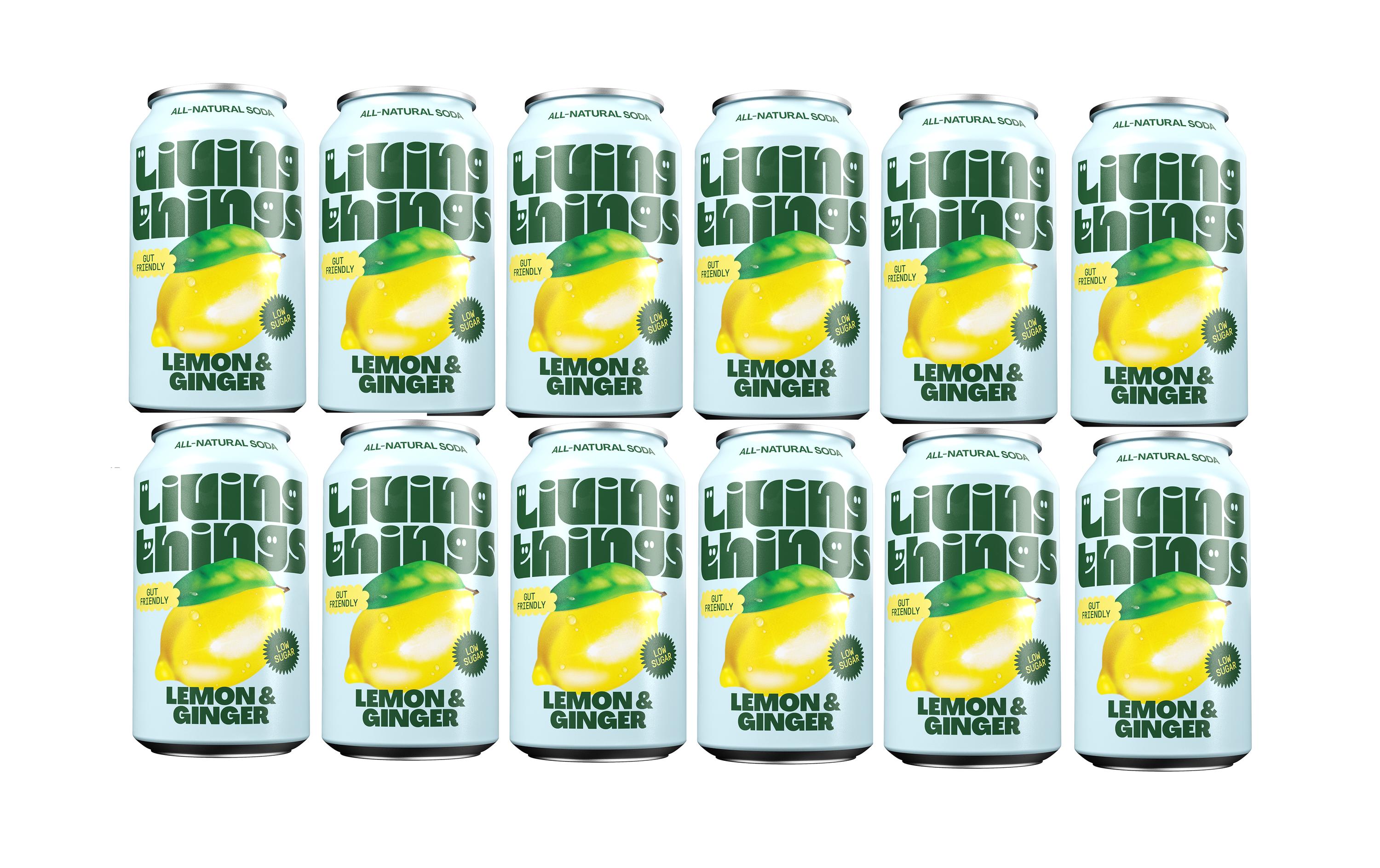 Soft-Drinks Lemon & Ginger 12 x 0.33 lNatürliche, leicht sprudelnde präbiotische Limonade