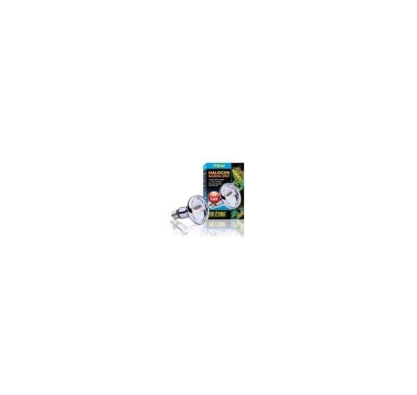 Terrariumlampe Halogen Basking Spot 75w PT2182