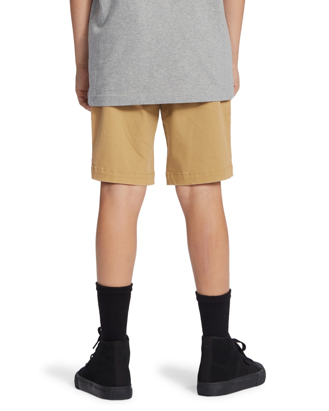DC Shoes Chinoshorts »Worker Relaxed«