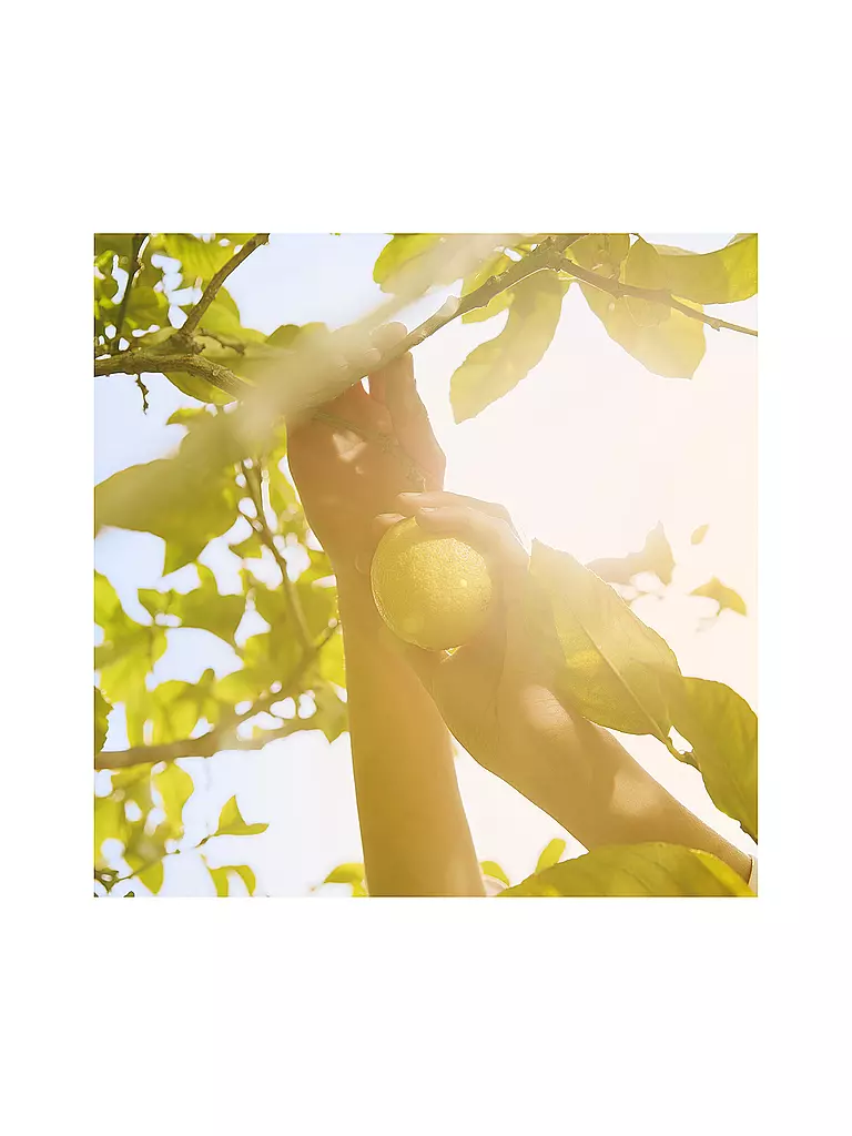 MAISON MARGIELA Replica Under the Lemon Trees Eau de Toilette 100ml keine Farbe